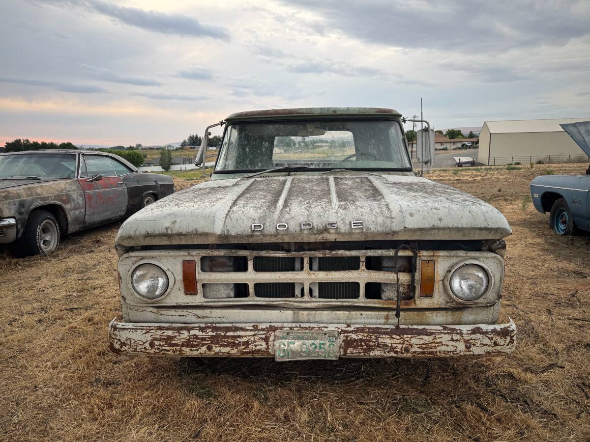 Dodge-D100-1966-blue-2