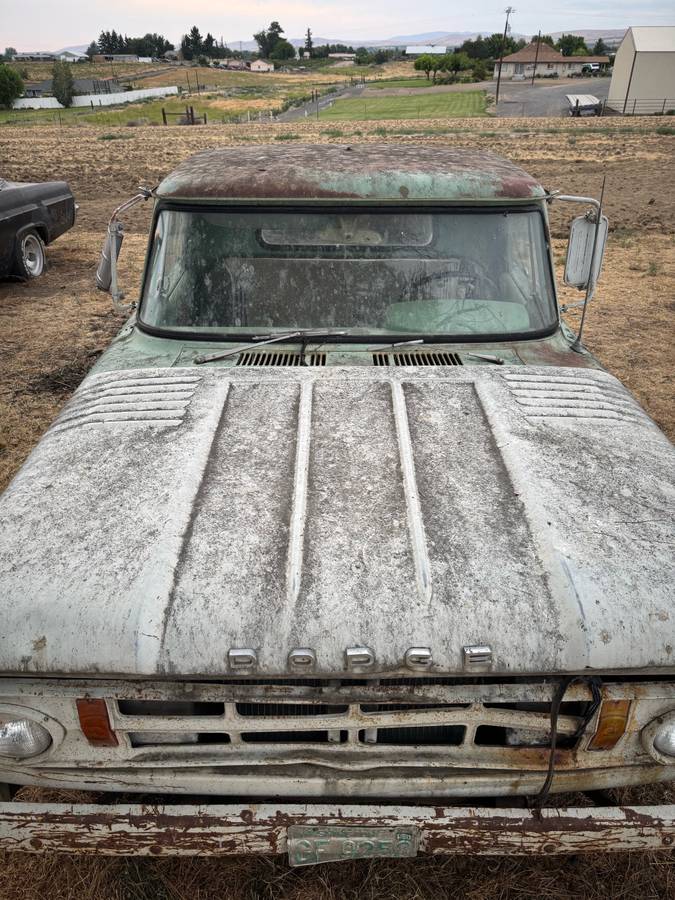 Dodge-D100-1966-blue-3