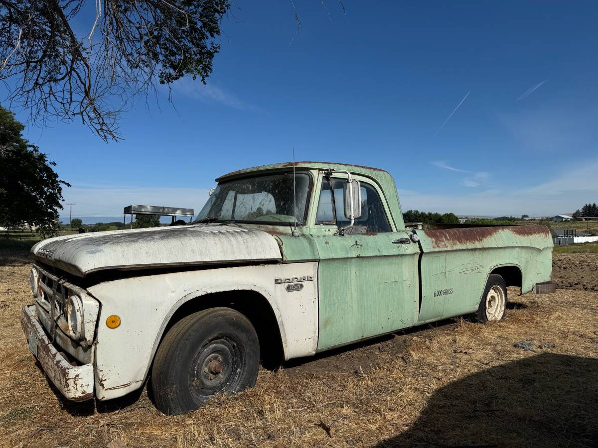 Dodge-D100-1966-blue