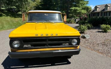 Dodge-D100-1971-orange-4