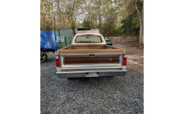 Dodge-D100-1972-Tan-and-white-Tan-4