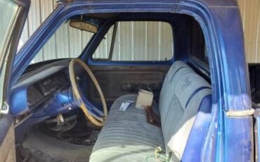 Dodge-D100-1976-2