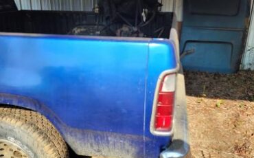 Dodge-D100-1976-30