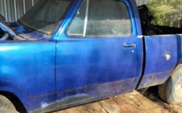 Dodge-D100-1976-32