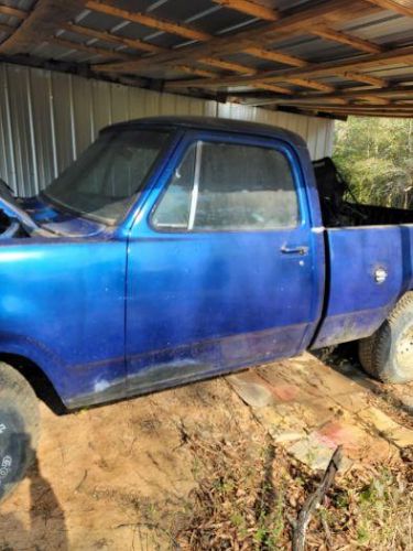 Dodge-D100-1976-32