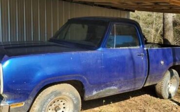 Dodge-D100-1976
