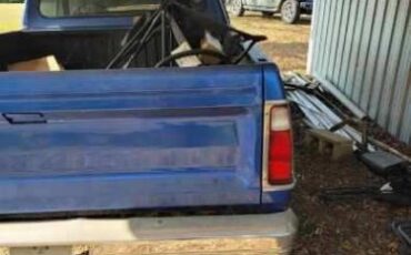 Dodge-D100-1976-5
