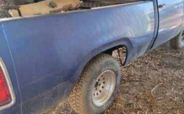 Dodge-D100-1976-8