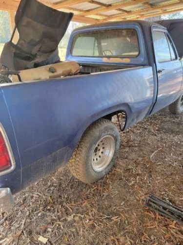 Dodge-D100-1976-8