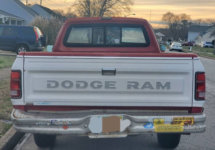 Dodge-D100-1988-5