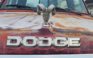 Dodge-D100-1988-8