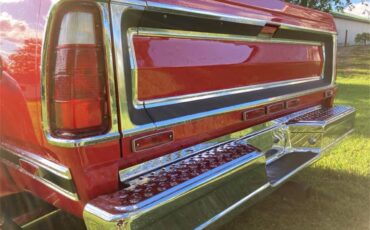 Dodge-D300-1979-Red-Gray-7