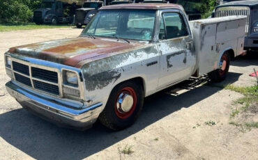 Dodge-D350-1993-Utility
