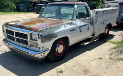 Dodge D350 1993 Utility