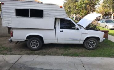 Dodge-Dakota-1987-White-Brown-13