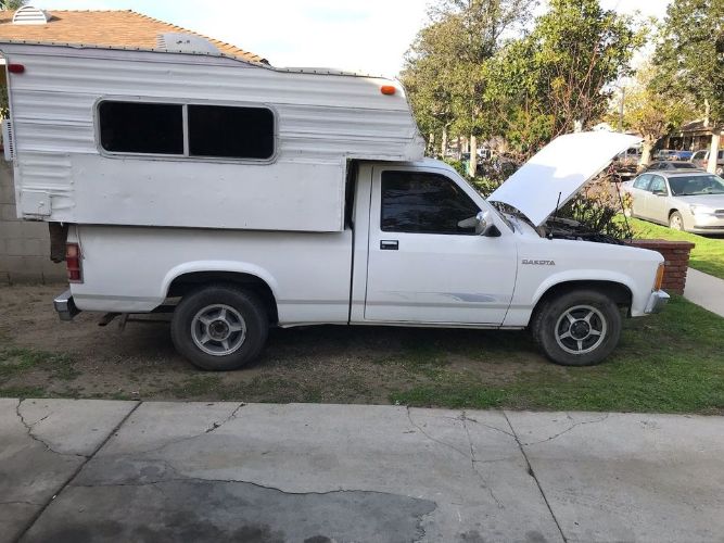Dodge-Dakota-1987-White-Brown-13