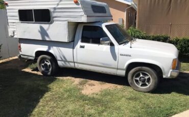 Dodge-Dakota-1987-White-Brown-17