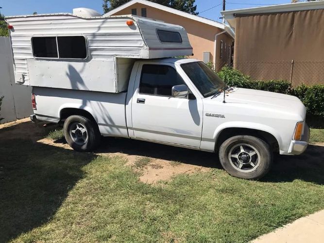 Dodge-Dakota-1987-White-Brown-17