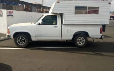 Dodge-Dakota-1987-White-Brown-18