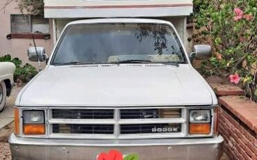 Dodge-Dakota-1987-White-Brown