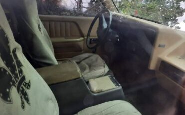 Dodge-Dakota-1987-White-Brown-6
