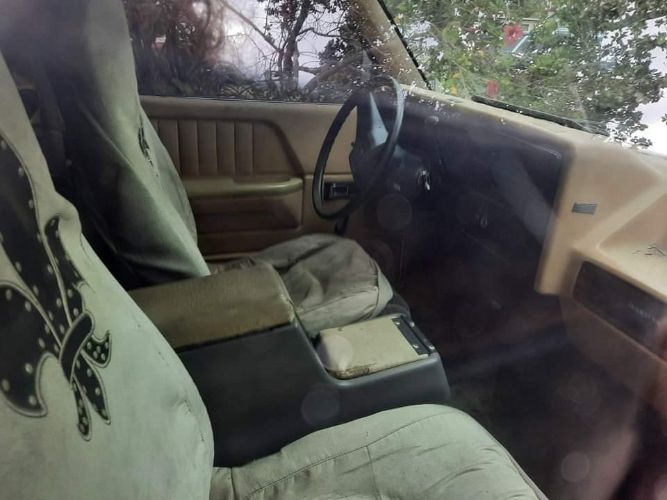 Dodge-Dakota-1987-White-Brown-6