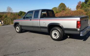 Dodge-Dakota-1993-Silver-Gray-12