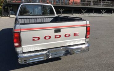 Dodge-Dakota-1993-Silver-Gray-13