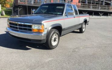 Dodge-Dakota-1993-Silver-Gray-2