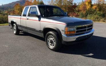 Dodge-Dakota-1993-Silver-Gray-3