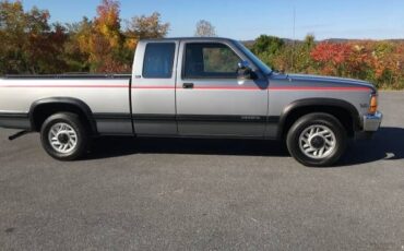 Dodge-Dakota-1993-Silver-Gray-5