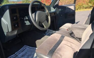 Dodge-Dakota-1993-Silver-Gray-9