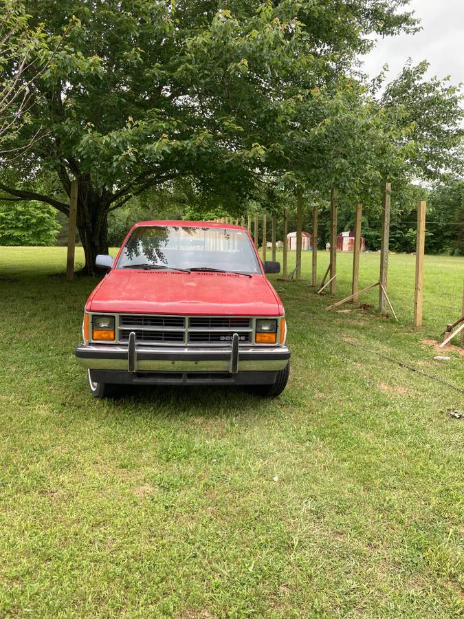 Dodge-Dakota-conventional-cab-1987-red