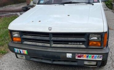 Dodge-Dakota-sport-4x4-1989-white
