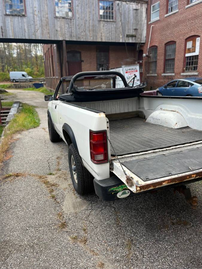 Dodge-Dakota-sport-4x4-1989-white-4