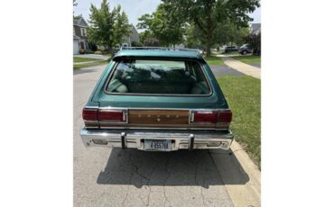 Dodge-Diplomat-1979-Green-Green-1