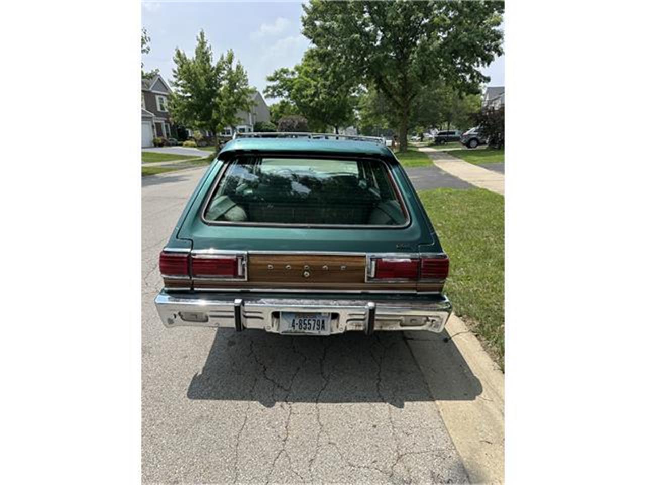 Dodge-Diplomat-1979-Green-Green-1