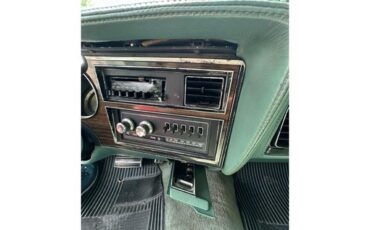 Dodge-Diplomat-1979-Green-Green-10