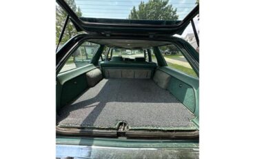 Dodge-Diplomat-1979-Green-Green-11
