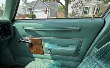 Dodge-Diplomat-1979-Green-Green-13
