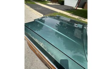Dodge-Diplomat-1979-Green-Green-14