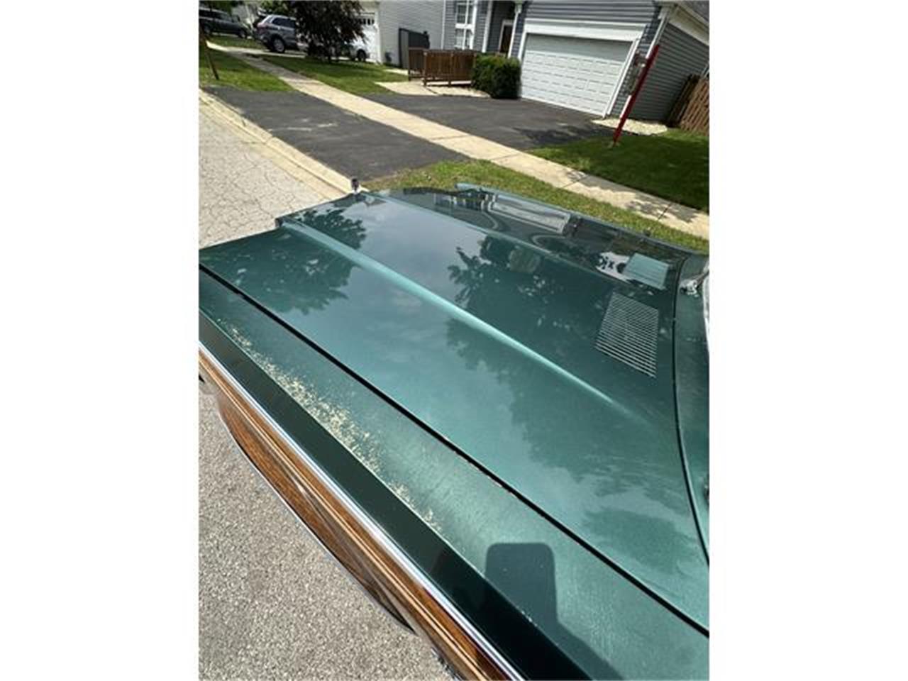 Dodge-Diplomat-1979-Green-Green-14