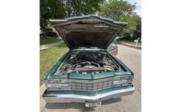 Dodge-Diplomat-1979-Green-Green-15