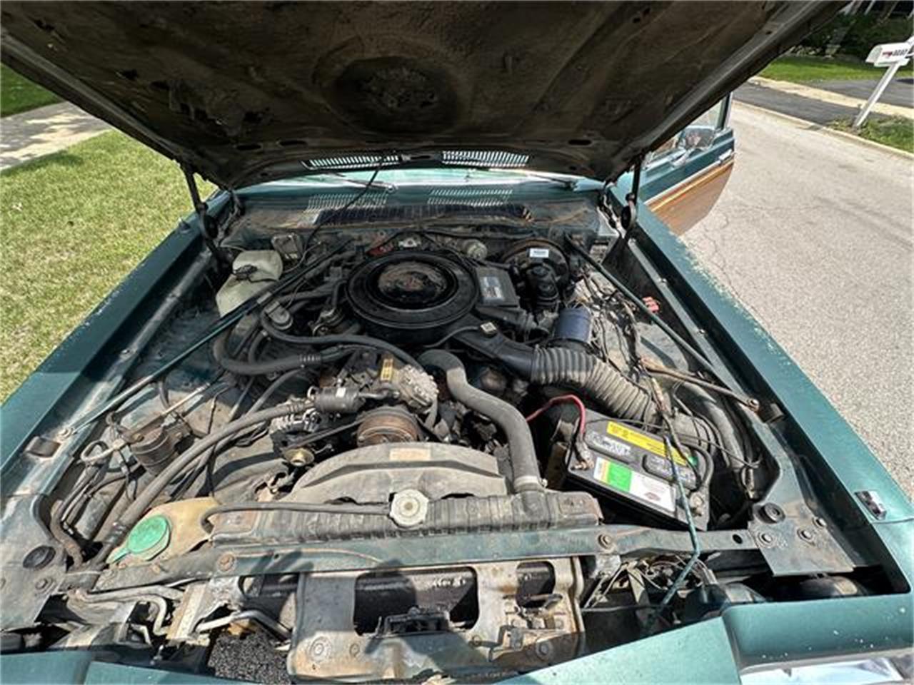 Dodge-Diplomat-1979-Green-Green-16