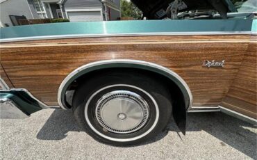 Dodge-Diplomat-1979-Green-Green-17