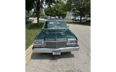 Dodge-Diplomat-1979-Green-Green-2