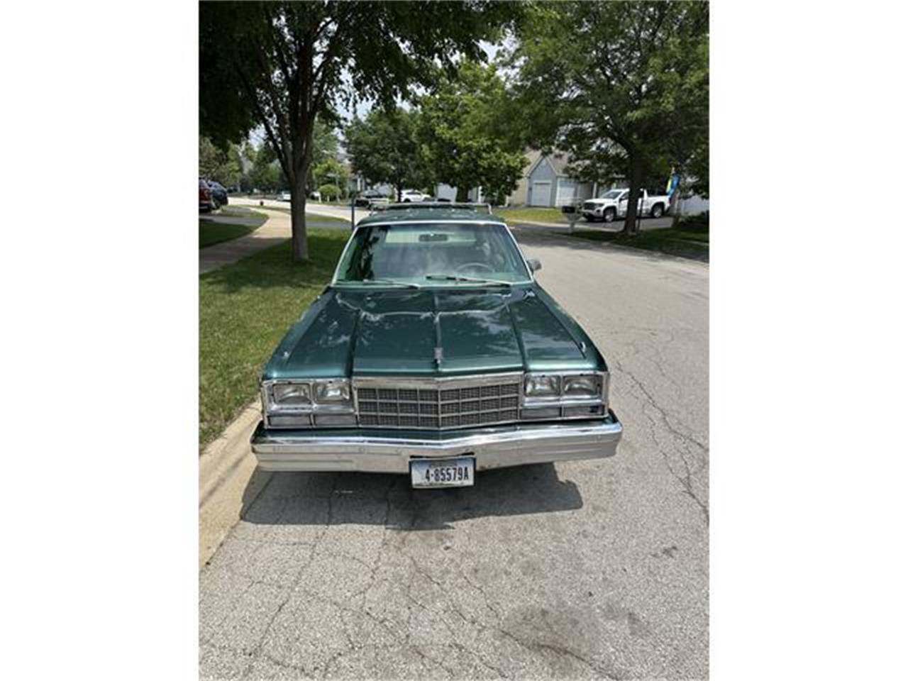 Dodge-Diplomat-1979-Green-Green-2