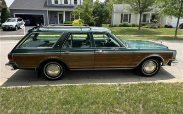 Dodge-Diplomat-1979-Green-Green-3