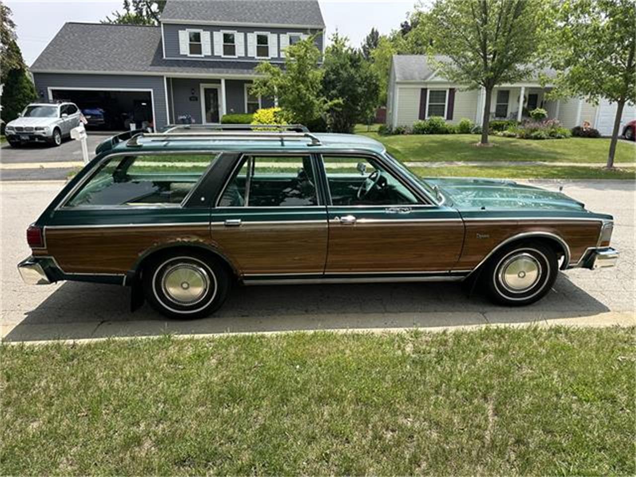 Dodge-Diplomat-1979-Green-Green-3