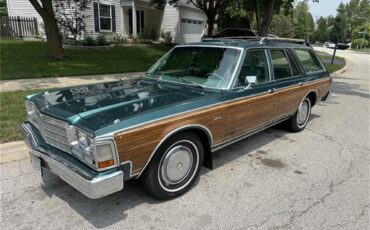 Dodge-Diplomat-1979-Green-Green